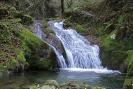 Ruta: Fervenzas do Umia (de Forcarei a Moraña)